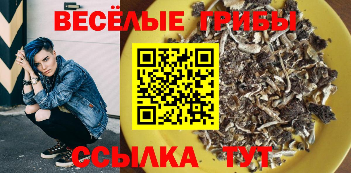 Галлюциногенные грибы GOLDEN TEACHER Сосновый Бор