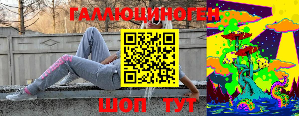 купить   Галлюциногенные грибы Psilocybine cubensis  Вход с VPN  Сосновый Бор 