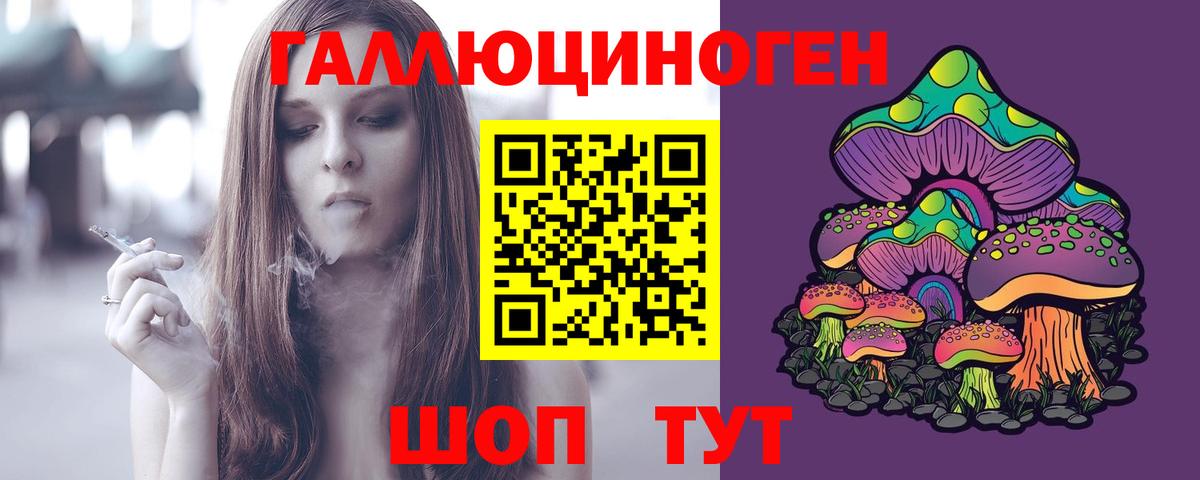Галлюциногенные грибы прущие грибы Сосновый Бор