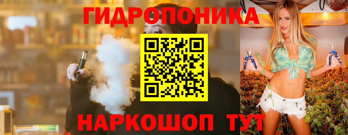 Бошки Шишки ГИДРОПОН Сосновый Бор